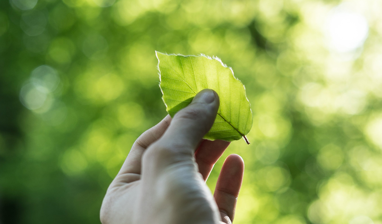 Uninterrupted Operations: Strategy in Response to Risks  of Climate Change